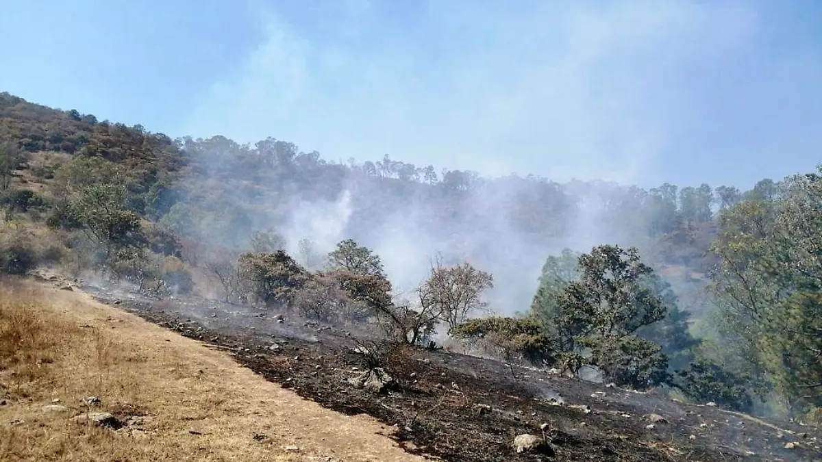 incendio forestal